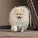 라스앤코 이미지