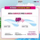 으뜸핏 이미지