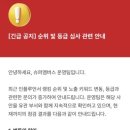 레드마케팅 | 슈퍼멤버스 엘로우에서 레드등급 복귀 후기 + 등급 조건 분석 (할인 혜택 차이 정리)