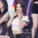포토조아 이미지