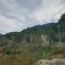 나봄1농장 이미지