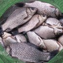 만석낚시터 이미지