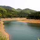 청원스크랩 이미지