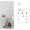 러브앤펫 이미지