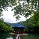 2025.5.15 전주 온고을 파크골프장 및 내장사 이미지