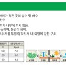 송수농장 네이버블로그