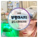 백마동물병원 | 부평마사지 :: 골드스파테라피 피부진정 특수재생케어 받고 왔어요