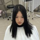 허쉬헤어뱅 | 퍼스널상담 디자인 커트 세미허쉬컷 소프트풀뱅 홍대지안쌤 후기