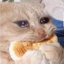 먹고또먹고 이미지