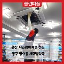 새울산약국 이미지