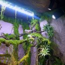 자연과 함께하는 초록 힐링 2회기 | 구리 가볼만한 곳, TV생물도감 함께하는 521농업생태체험장 곤충체험 가격 후기