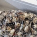 부일수산 이미지