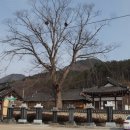 장성성산초등학교 | 장성향교, 옛 장성도호부 공립교육기관
