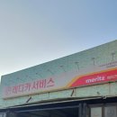 레이디 카 센타 이미지