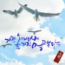 고집불통 이미지