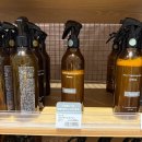 태평우체국 앞 | [일본/대마도] 용삼이의 우당탕탕 우정여행 스타또! DAY ② 이즈하라 나들이