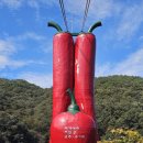 황룡의원 | 청양 가볼 만한곳 천장호 출렁다리 시간 입장료 무료