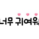 하이룸 이미지