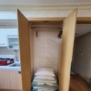 고성 소노벨 델피노 숙박 후기 (가족 여행으로 굿!)