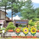 오색허브농원 이미지