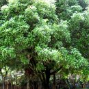 계림빌딩 이미지