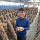 조은농장2 이미지