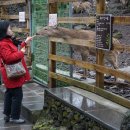 세계자동차 제주박물관 이미지