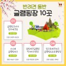 사나래독 이미지