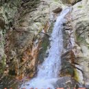 지우스파 이미지