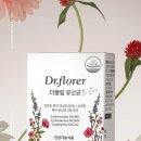 닥터플로러 이미지