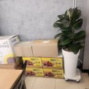 중원대로 3388, (문화동) 이미지