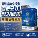 이전노모당 | 트럭 요소수 추천 영운모 0.1 정기배송 두 달 솔직 후기