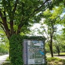 서울숲 생태숲 화장실 이미지