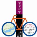 자양벚꽃100리길 티스토리
