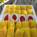 탑산농장 이미지