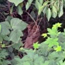 상대목장 이미지