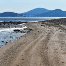 바다마중 이미지