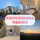 애월펜션 | 제주 애월 독채펜션 프라이빗 자쿠지 감성 숙소 애월숲에201 방문 후기