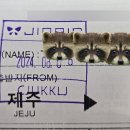 어멘드 이미지