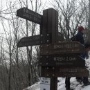 감나무식당 이미지