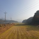 고성염소농장 이미지