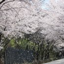 &lt;하동&gt; 꿈같은 자연경관, 시간 속 여정, 역사 속 문학 &amp; 문화