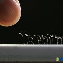 안성3.1운동기념관 이미지