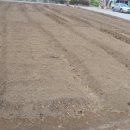 상일농장 이미지