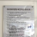 하이마이댕댕 이미지