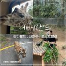 코뿔소농장 | 에버랜드 동물원 사파리, 판다월드, 로스트밸리 스마트줄서기 후기, 꿀팁