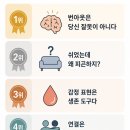동일과학상사 | 📚『번아웃: 스트레스 사이클을 푸는 비결』 에밀리 &amp; 아멜리아 나고스키