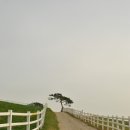 너른공원 이미지