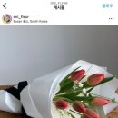 오니플레르 이미지