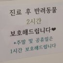 웰니스클리닉동물병원 이미지